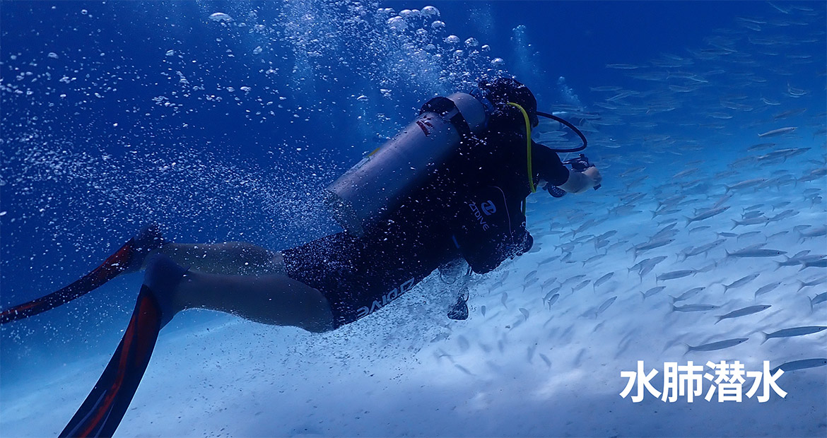 Cases, Bumpers, Covers